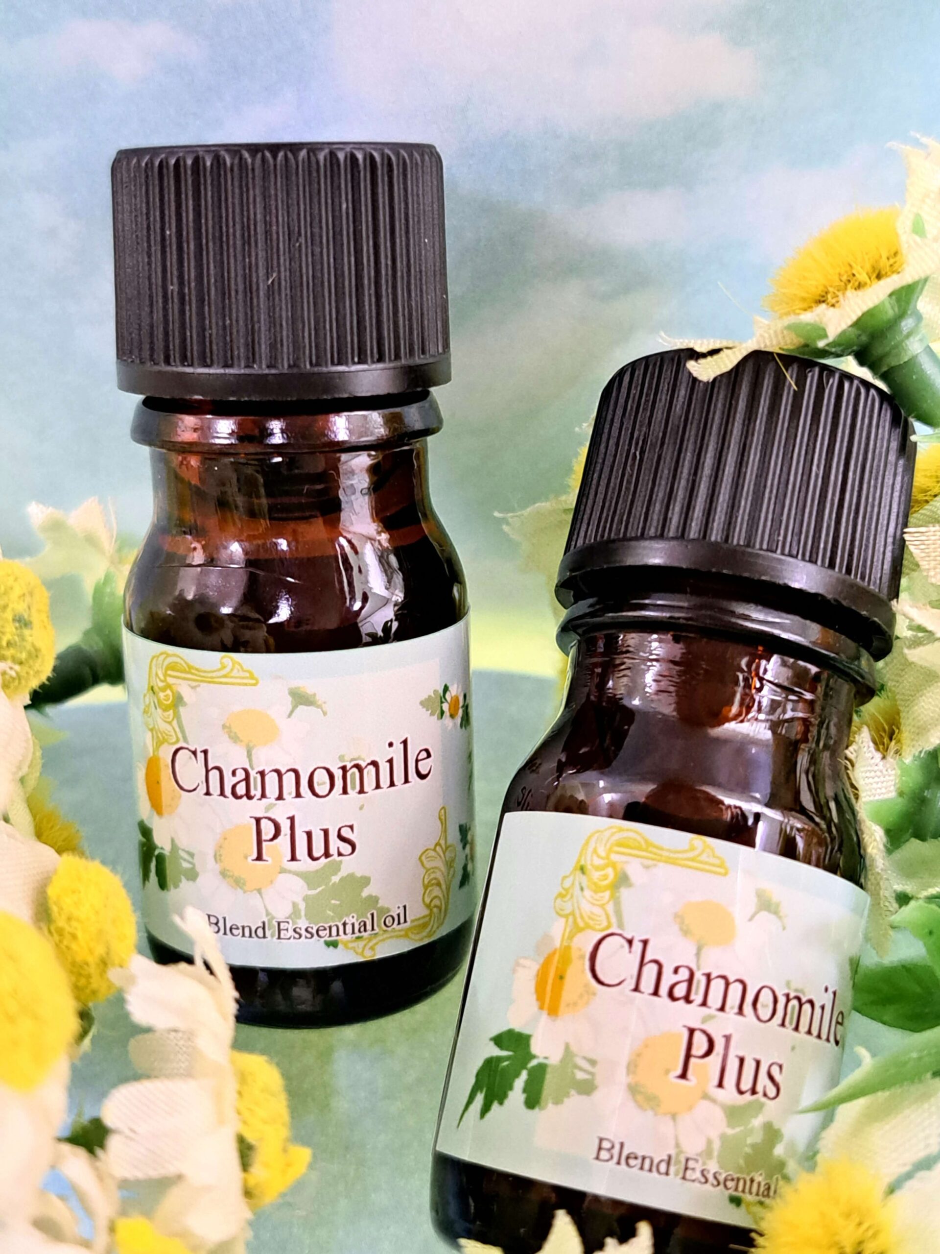 Chamomile Plus
